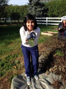 Circle de Luz on Sow Much Good's urban farm