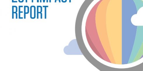 2014 SVP Network Impact Report